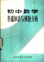 初中数学基础知识与例题分析