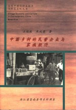 中国乡村的民营企业与家族经济  浙江省苍南县项东村调查