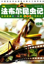 法布尔昆虫记  螳螂  儿童版