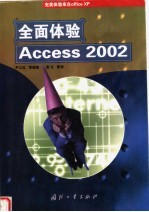 全面体验Access 2002