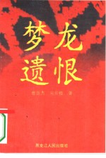 梦龙遗恨