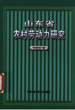 山东省农村劳动力研究