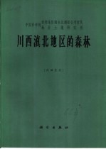 川西滇北地区的森林