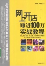 网上开店赚进100万实战教程