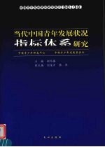 当代中国青年发展状况指标体系研究  中国青年发展状况研究报告  2003-2004