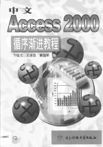 中文Access 2000循序渐进教程