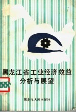 黑龙江省工业经济效益分析与展望