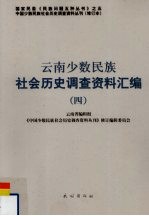 云南少数民族社会历史调查资料汇编  4