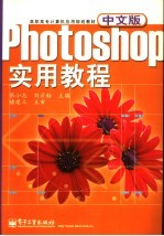 中文版Photoshop实用教程