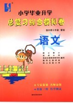 小学毕业升学总复习综合模拟卷  语文