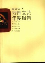 云南文艺年度报告  2007