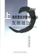 2006上海民营经济暨中小企业发展报告