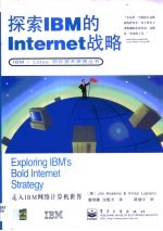 探索IBM的Internet战略