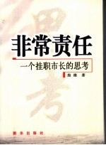 非常责任  一个挂职市长的思考