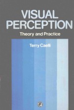 VISUAL PERCEPTION THEORY AND PRACTICE