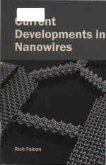 Current developments in nanowires