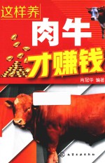 这样养肉牛才赚钱