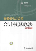 安徽省电力公司会计核算办法  2010年版