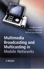 Multimedia Broadcasting and Multicasting in Mobile Networks