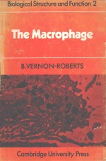 THE MACROPHAGE