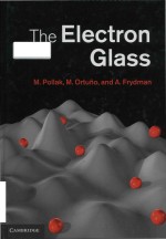 The electron glass