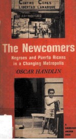 The Newcomers Negroes and Puerto Ricans in A Changing Metropolis