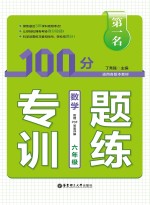 第一名·100分专题训练  数学  六年级