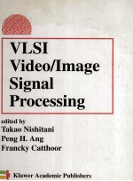 VLSI VIDEO /IMAGE SIGNAL PROCESSING