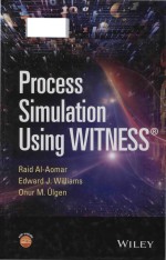 process simulation using witness