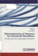 Electrospinning of polymers for functional nanofibres : fibre generators