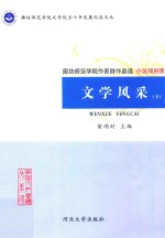 文学风采  下  廊坊师范学院作家群作品选·小说戏剧集