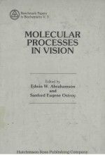 MOLECULAR PROCESSES IN VISION