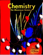 CHEMISTRY THE MOLECULAR SCIENCE