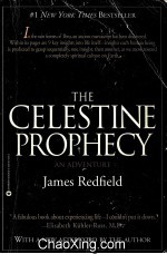 THE CELESTINE PROPHECY AN ADVENTURE