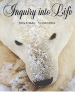 FNQUIRY INTO FIFE  SEVENTH EDITION