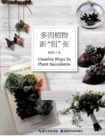 多肉植物新“组”张