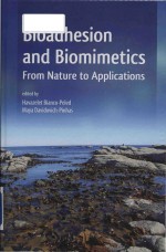 Bioadhesion and biomimetics  from nature to applications