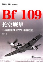 长空鹰隼  二战德国Bf 109战斗机战史