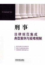 刑事法律规范集成典型案例与疑难精解