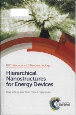 Hierarchical nanostructures for energy devices