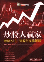 新股民钱袋书  炒股大赢家  股票入门、选股与实战策略