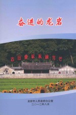 奋进的龙岩  2012年