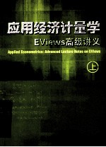 应用经济计量学 EViews高级讲义 上