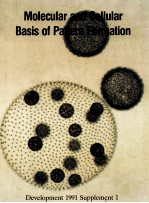 DEVELOPMENT 1991 SUPPLEMENT 1 MOLECULAR AND CELLULAR BASIS OF PATTERN FORMATION