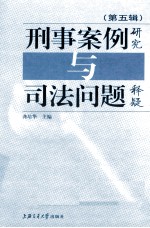 刑事案例研究与司法问题释疑  第5辑