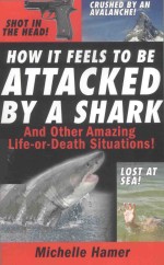 HOW IT FEELS TO BE ATTACKED BY A SHARK