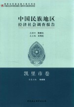 中国民族地区经济社会调研报告  凯里市卷