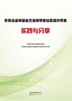 云南省全球基金艾滋病项目社区组织项目实践与分享