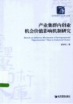 产业集群内创业机会价值影响机制研究