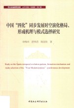 中国四化同步发展时空演化格局形成机理与模式选择研究  中小企业研究文库